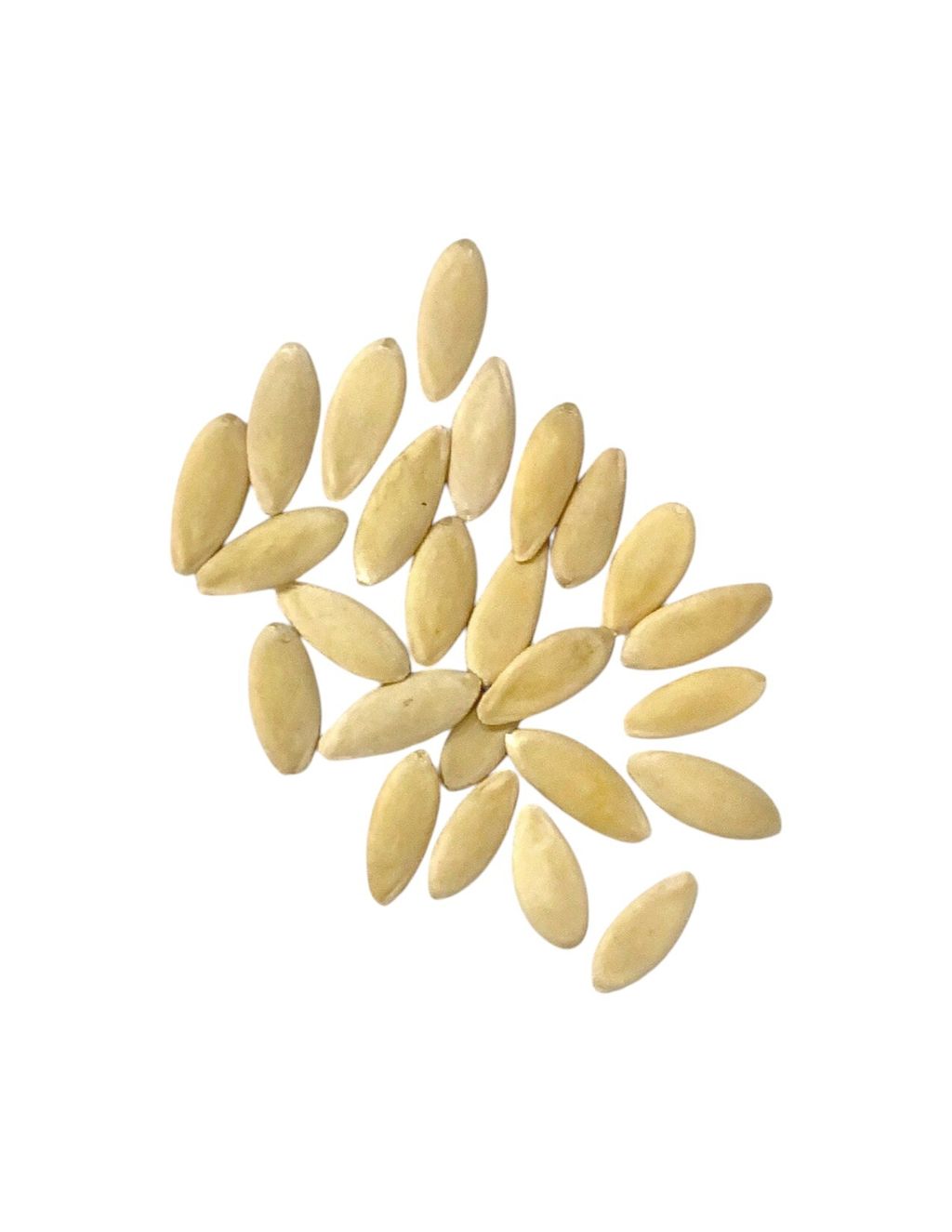 小黃瓜1-Photoroom