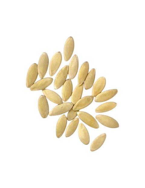 小黃瓜1-Photoroom