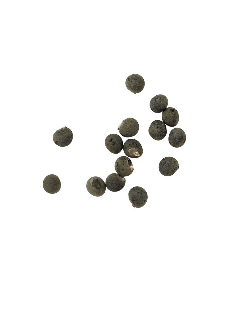 黃秋葵2-Photoroom