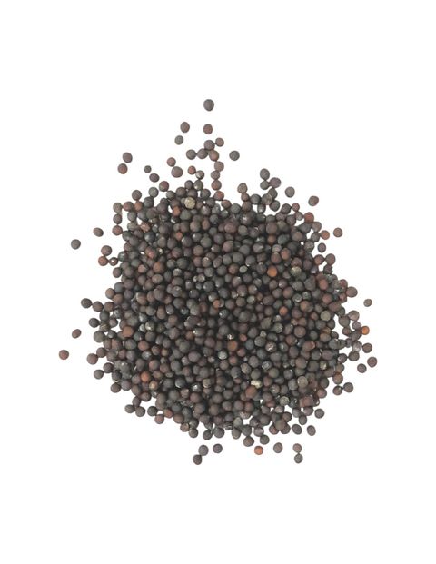 特級小白菜2-Photoroom