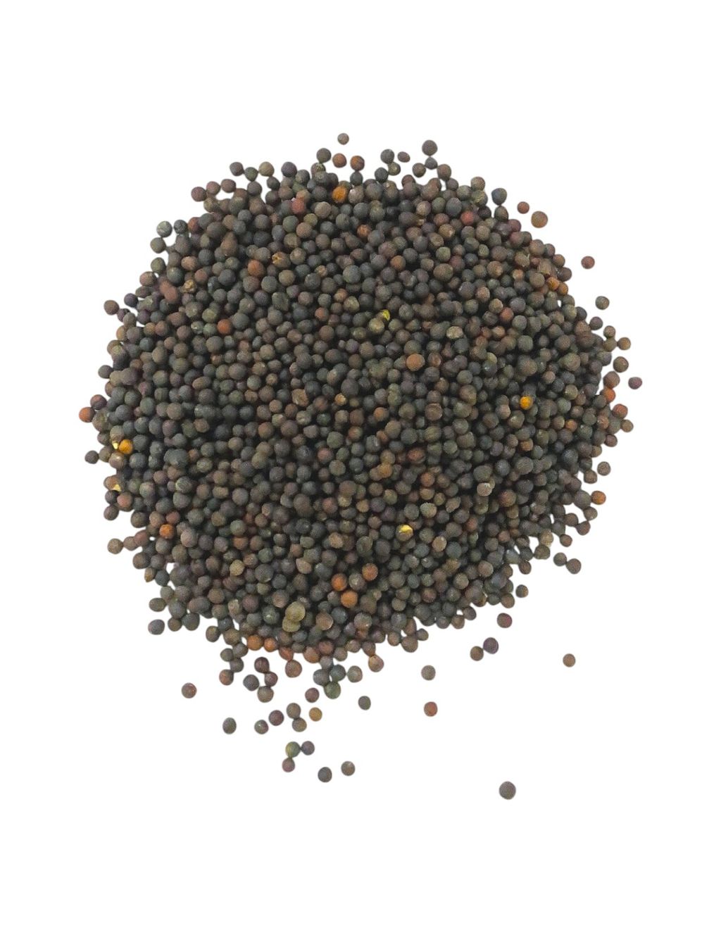 黑芥藍2-Photoroom