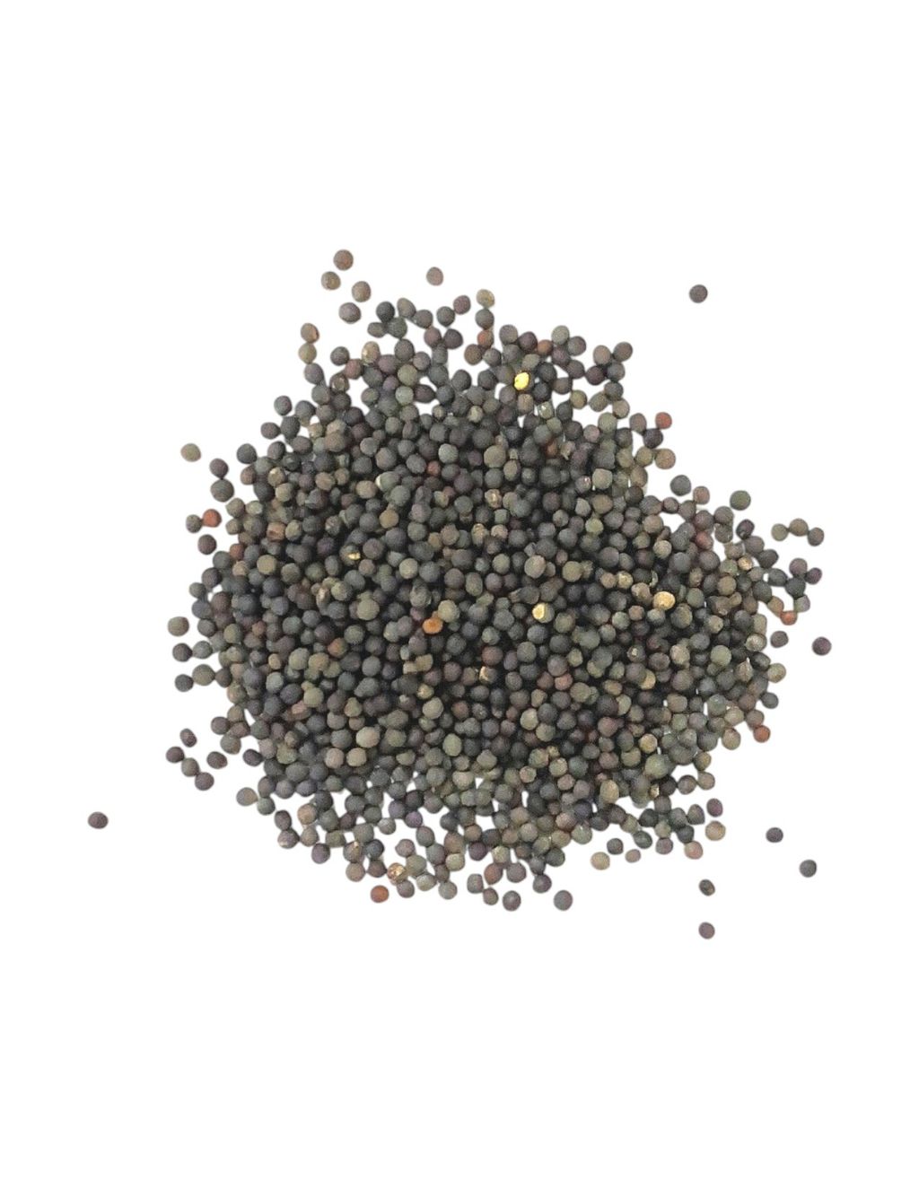 奶油白菜-Photoroom