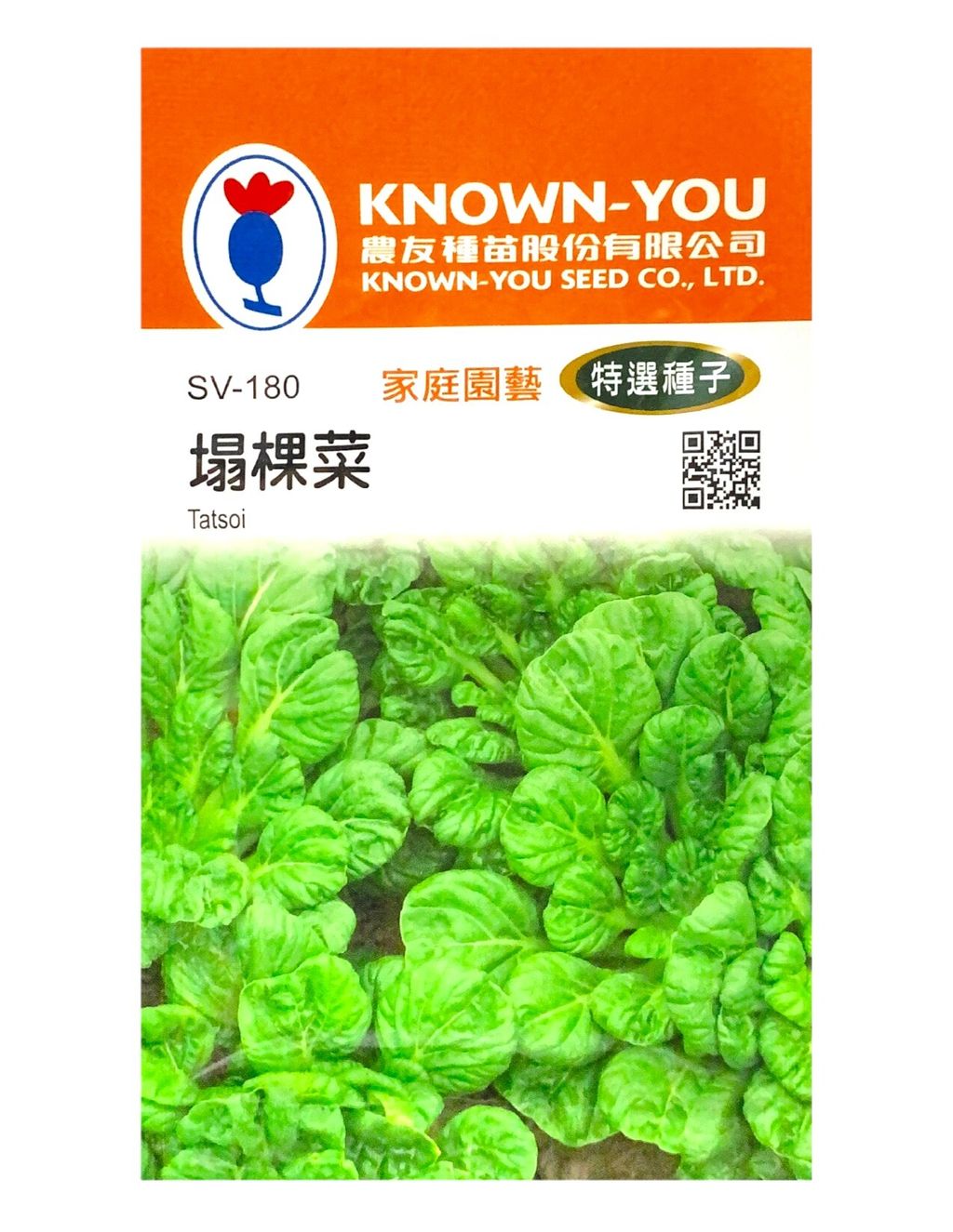 塌棵菜-Photoroom (1)