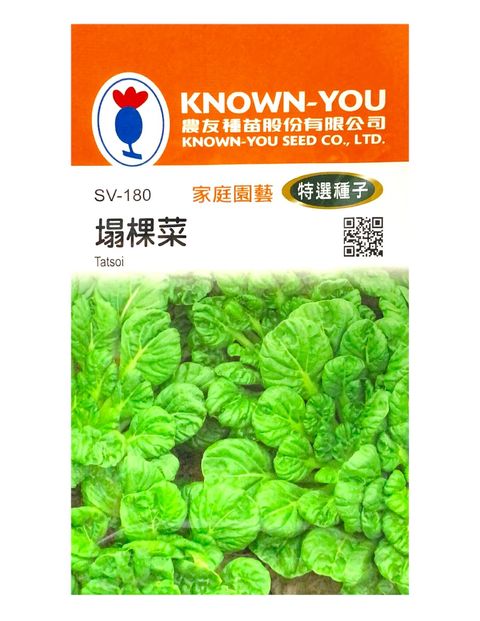 塌棵菜-Photoroom (1)