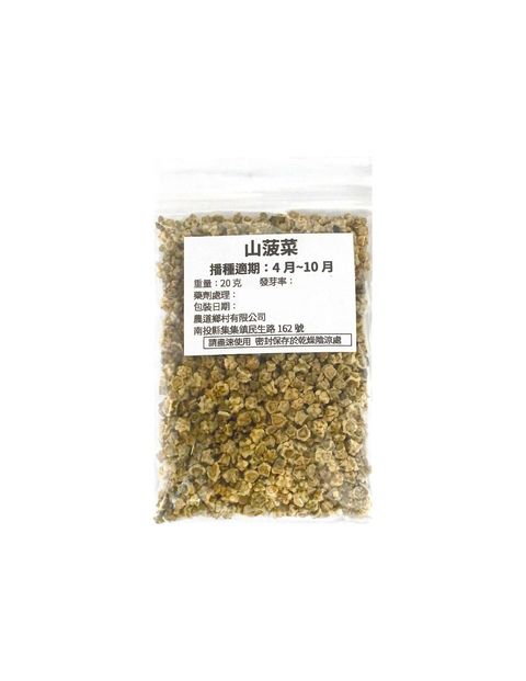 山菠菜1-Photoroom