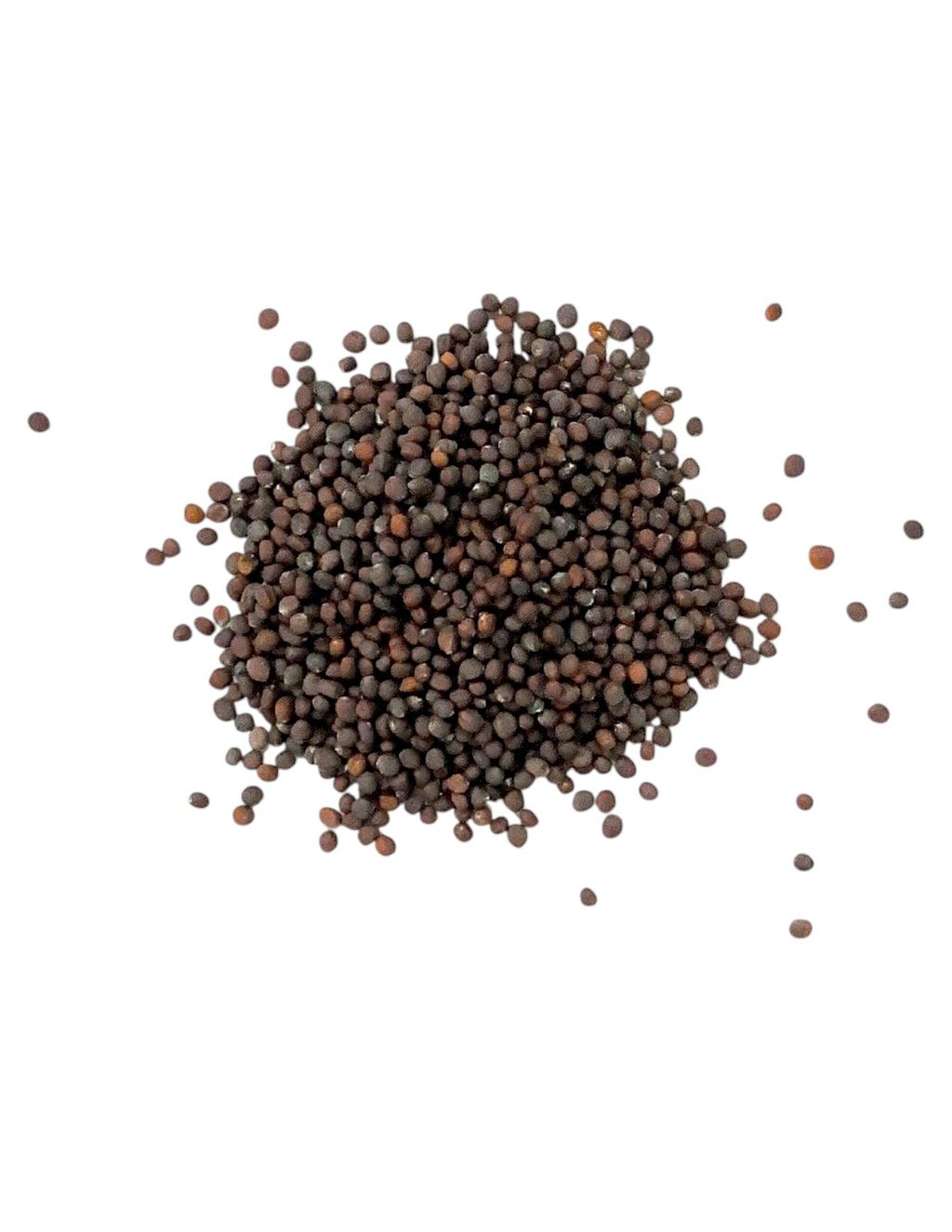 土白菜2-Photoroom