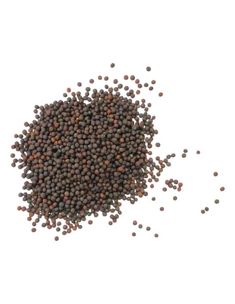 美松菜2-Photoroom