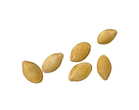 綠櫛瓜1-Photoroom