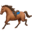 🐎