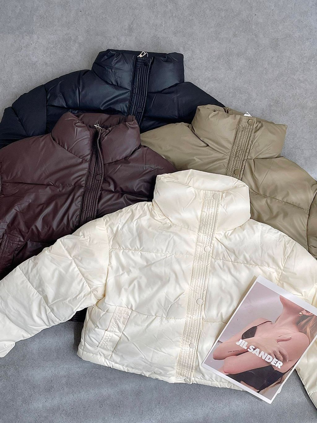 541729786_1181211547373787_7450678767253114578_n