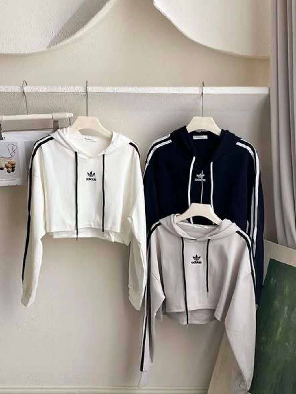 577003467_1236135208548087_2970903939034664416_n