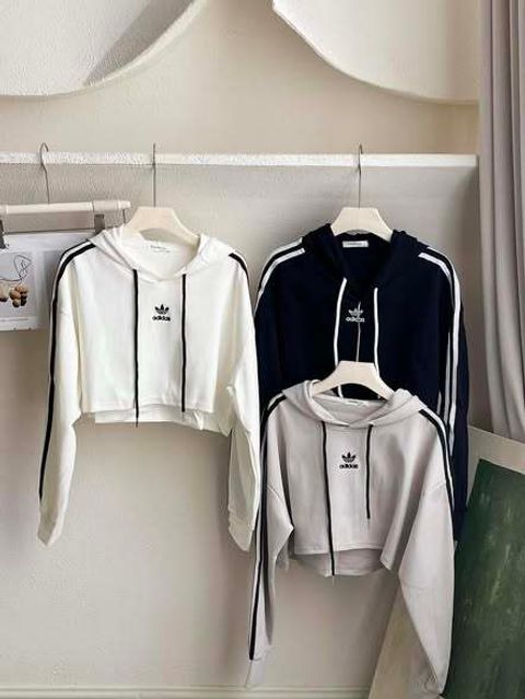 577003467_1236135208548087_2970903939034664416_n