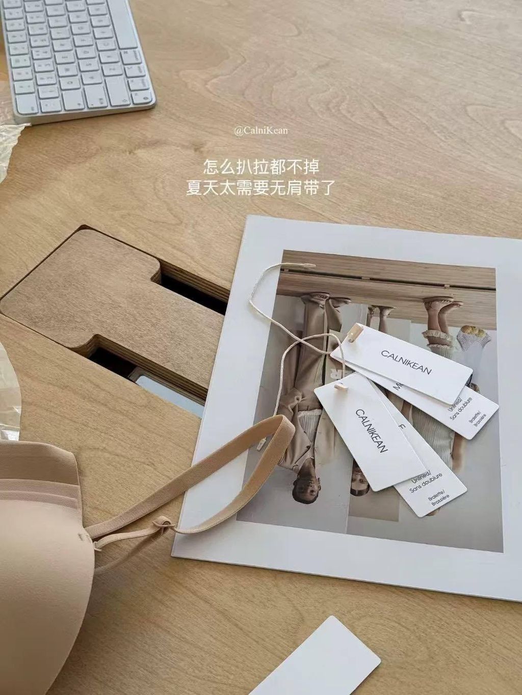 491996105_1078282341000042_7278545803525803713_n