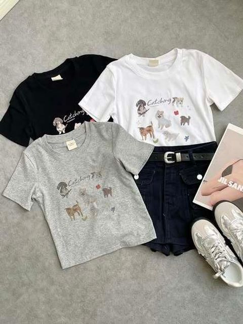 534830814_1167147418780200_7378482637995768541_n