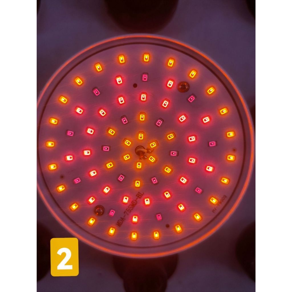 tw-11134207-7rasj-m2qd1nw0nmgb7a