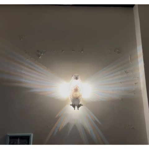 tw-11134207-7rasa-m12tfby09jjz11