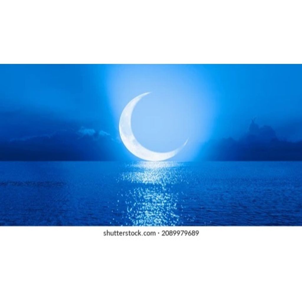 tw-11134207-7rasi-m1756jnizhyf88