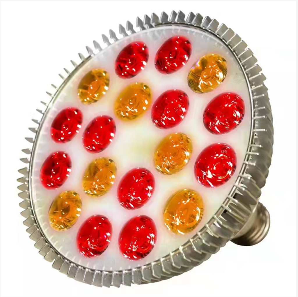 c4c8951d24852c0b2b30aaf68d22ddc2