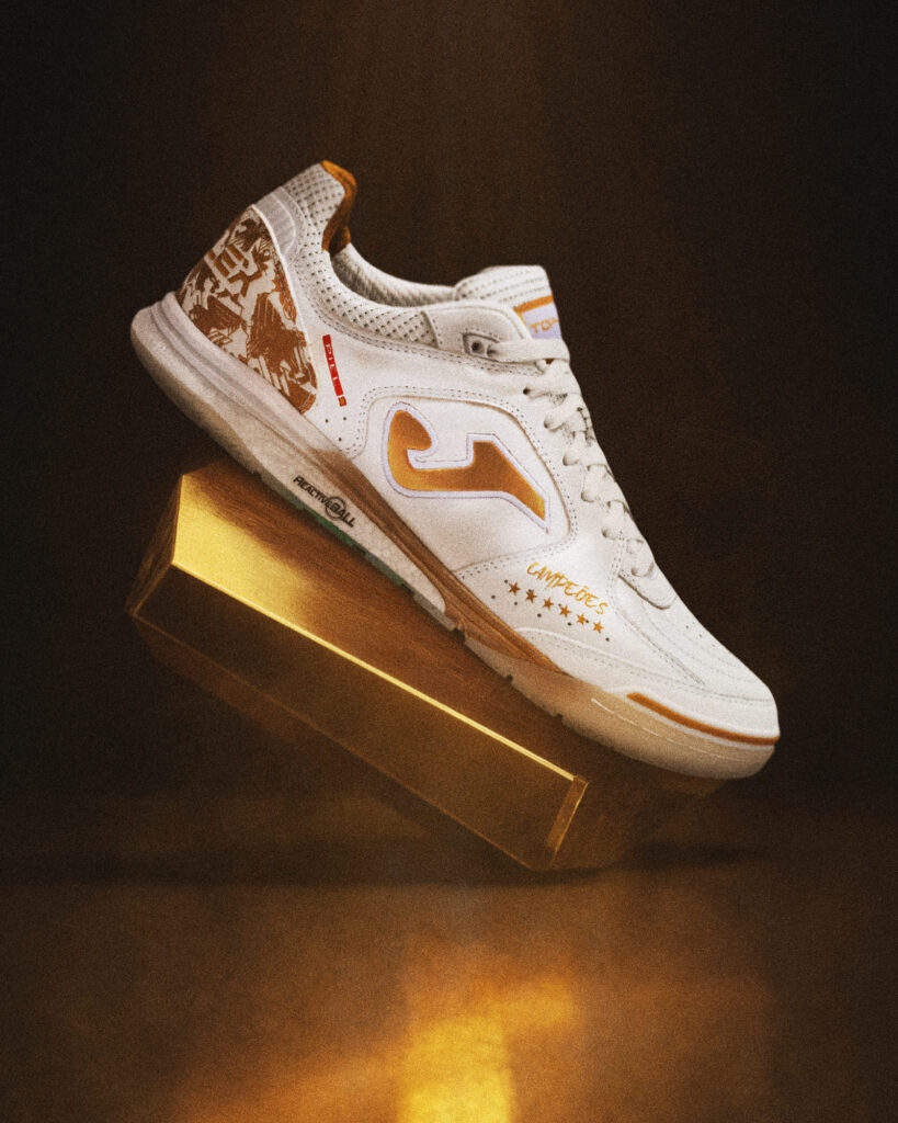 1-carrusel-top-flex-brasil-819x1024