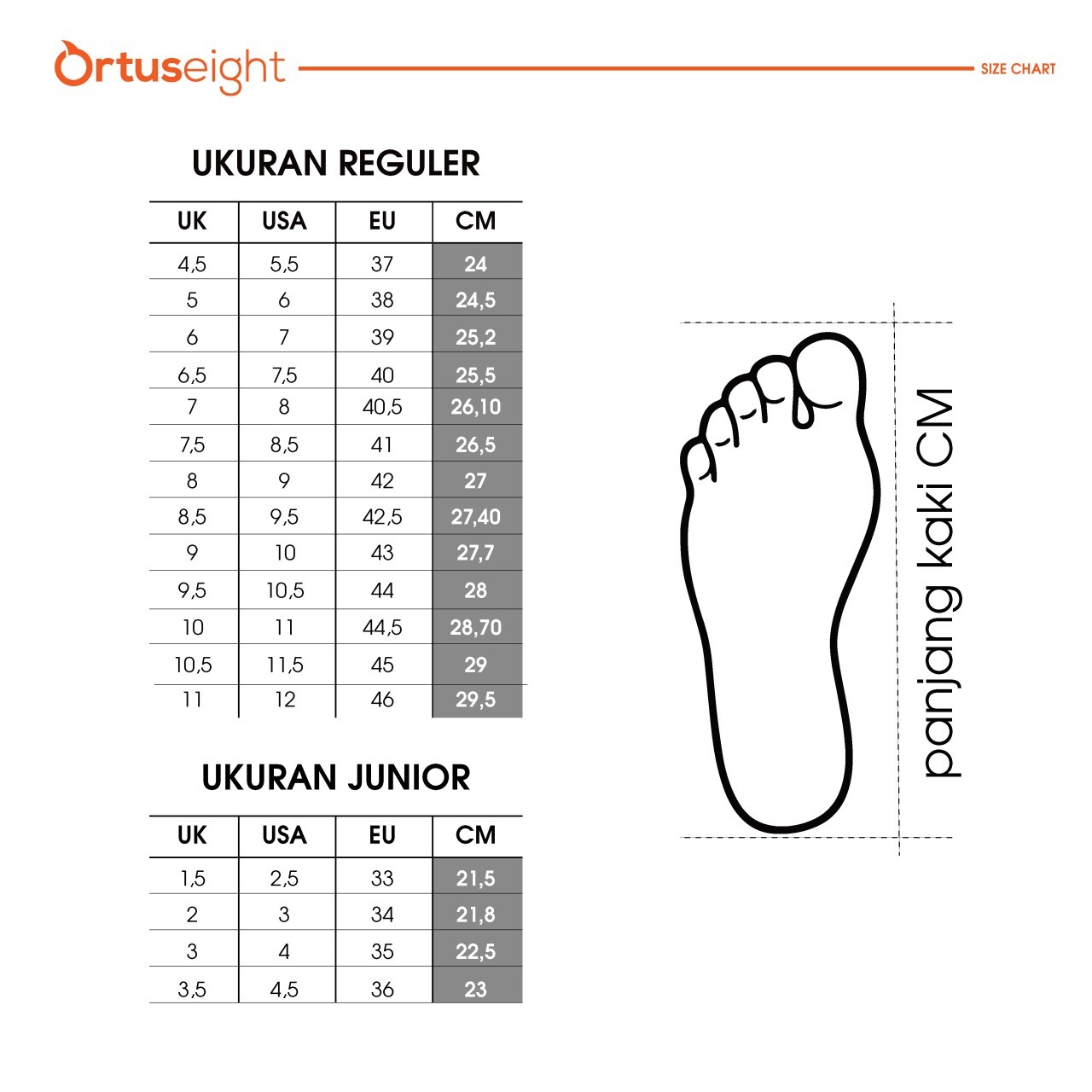 ortuseight size chart (1)