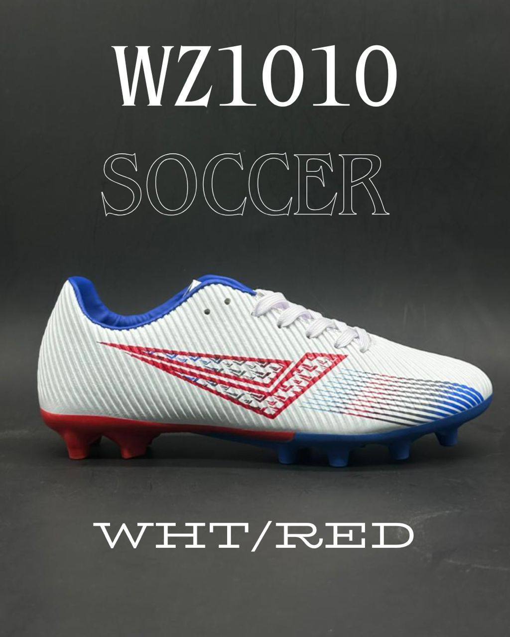 photo_2025-09-11_19-48-29