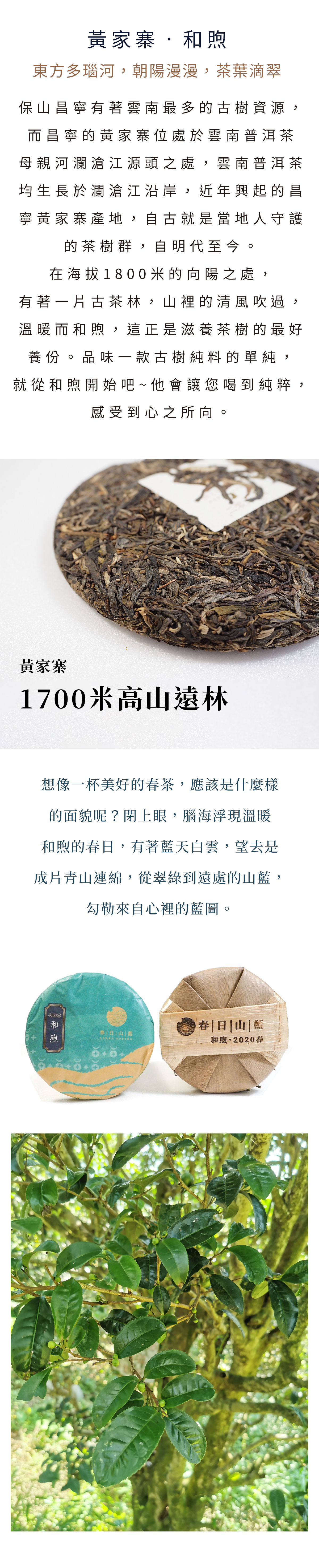 2020年和煦介紹圖_1