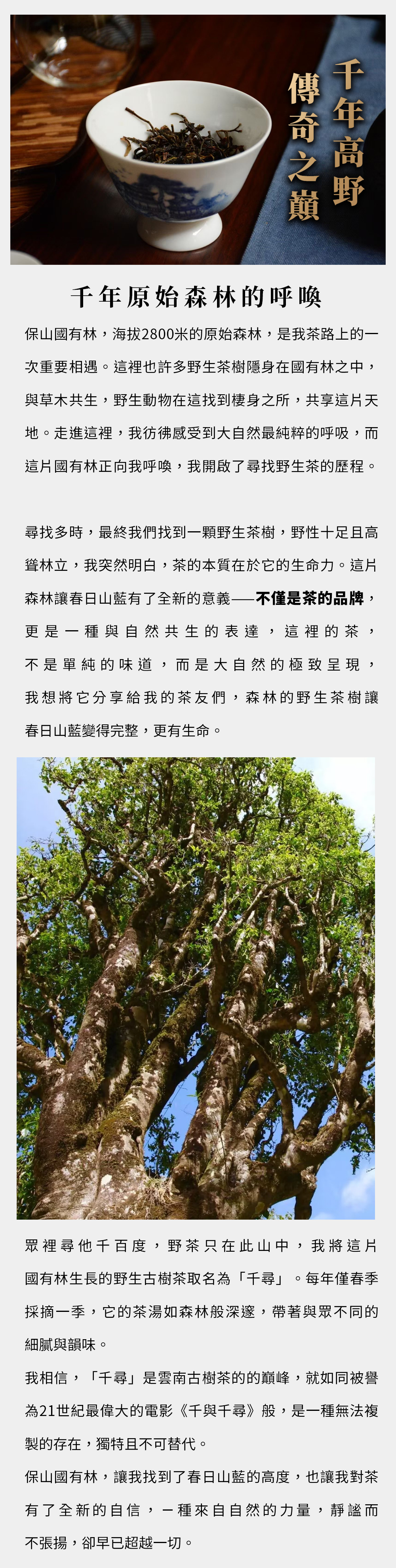 關於我們3