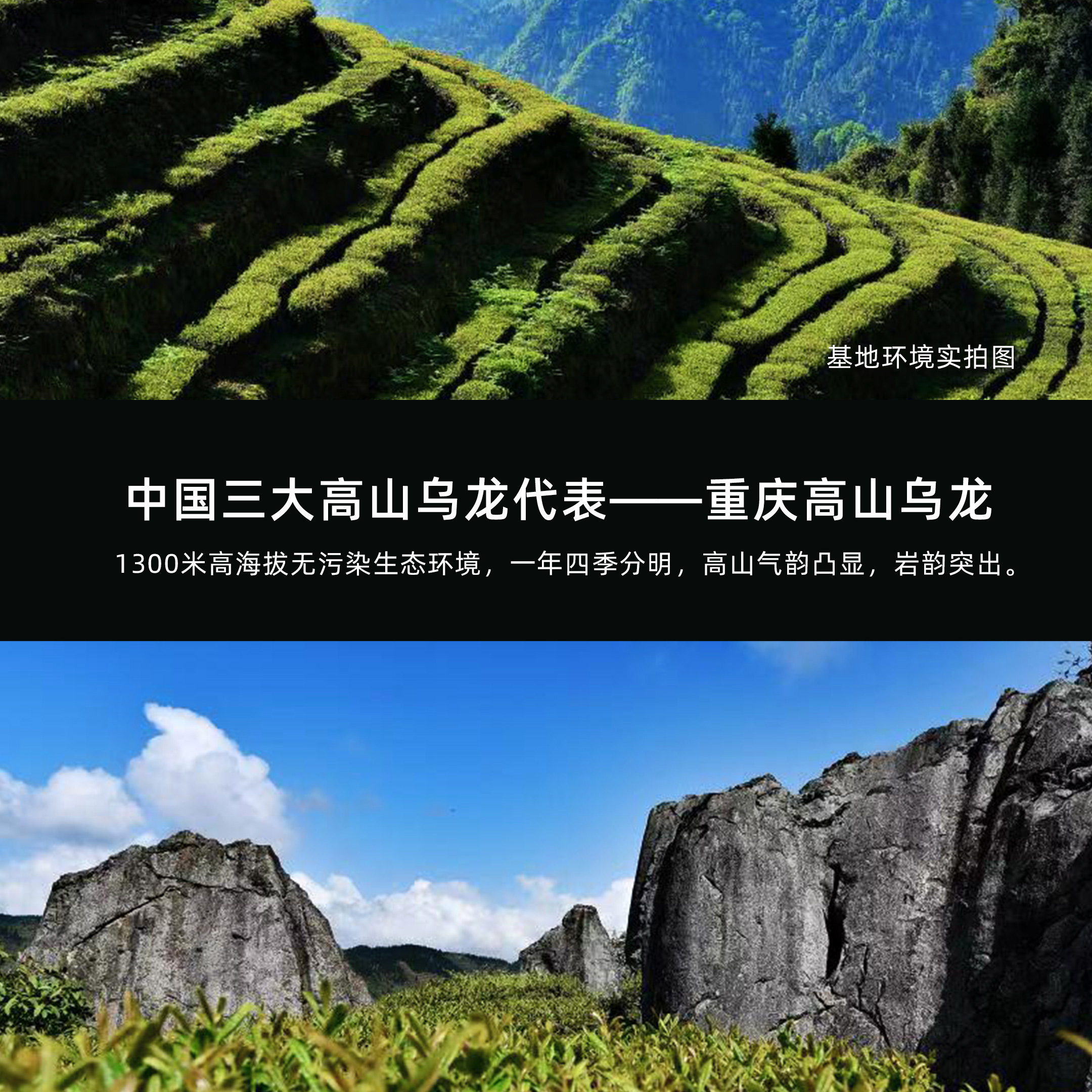 圖片_20250724150039