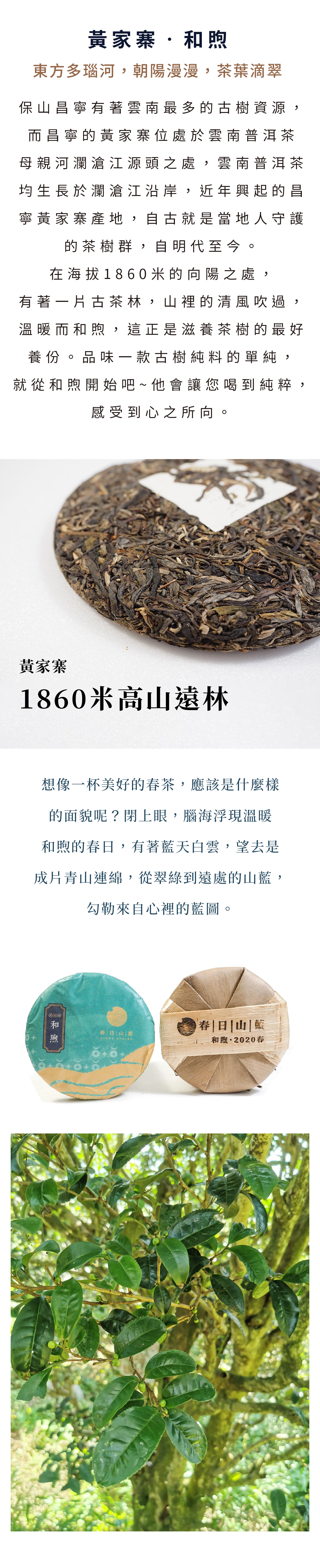 2020年和煦介紹圖_1