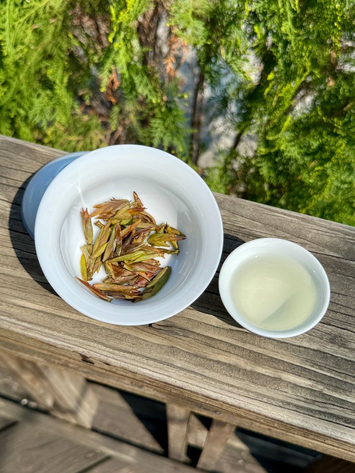 千尋高野芽白_茶湯_葉底