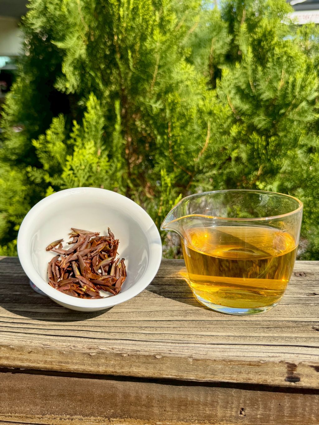 千尋高野芽紅茶湯