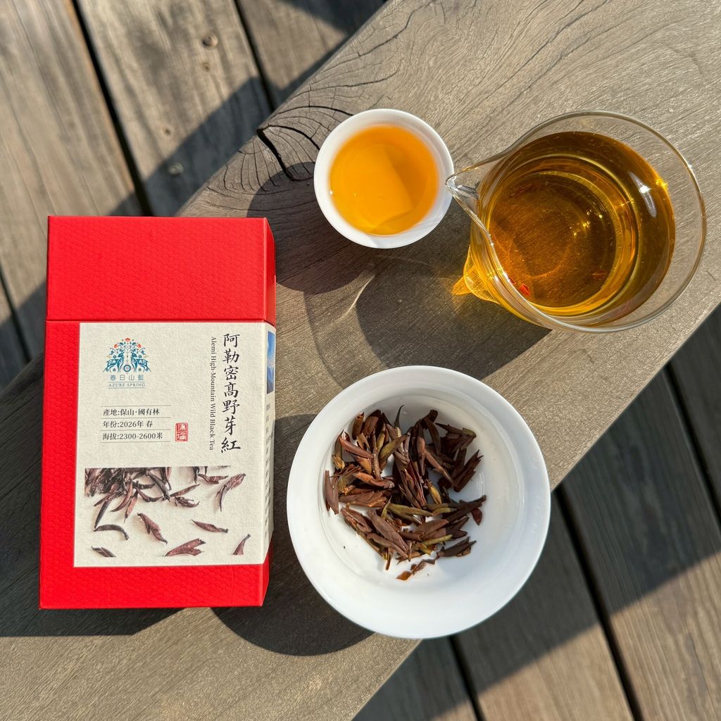 阿勒密高野芽紅260331_1 (1)