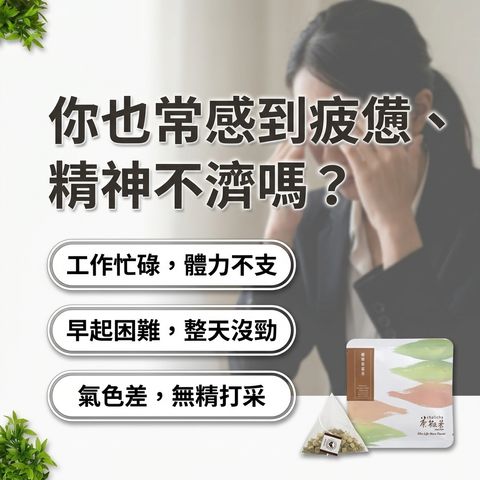 茶粒茶 養嵾黃耆茶立體獨立包 4g_S2