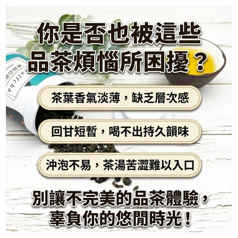 茶粒茶 原片茶葉 Mini曼菲斯 凍頂烏龍茶_S2