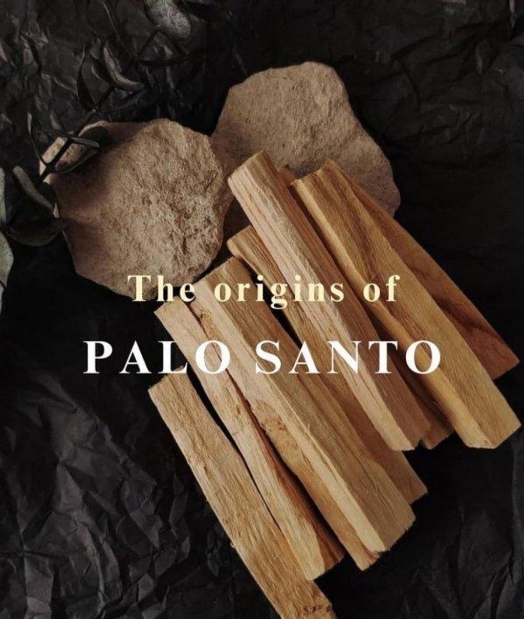 image_AC09C311-CD08-4129-AFA2-1FC096CE7C45_1768750752