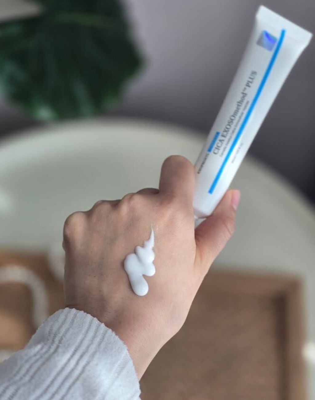 螢幕擷取畫面 2025-08-01 131215