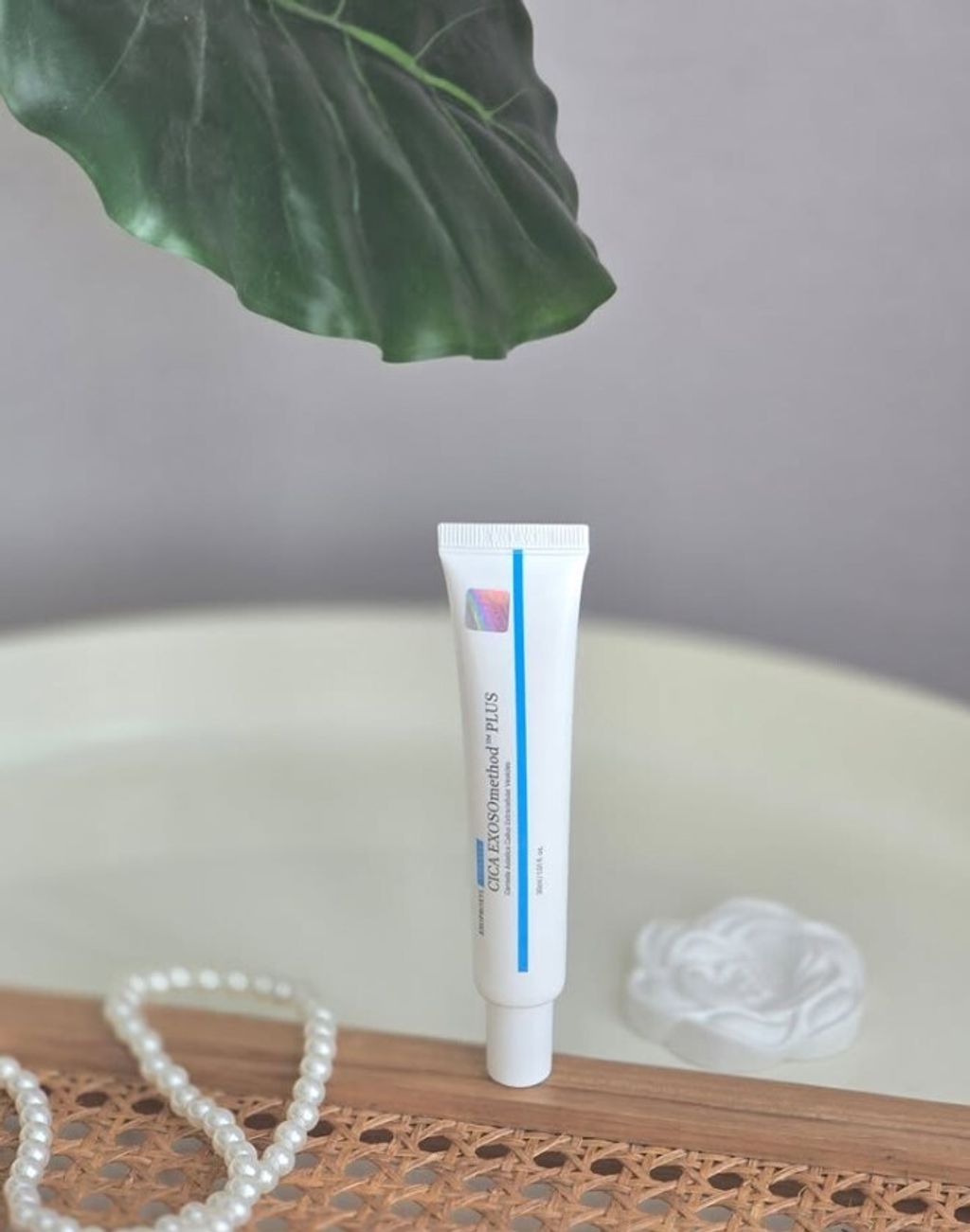 螢幕擷取畫面 2025-08-01 131154