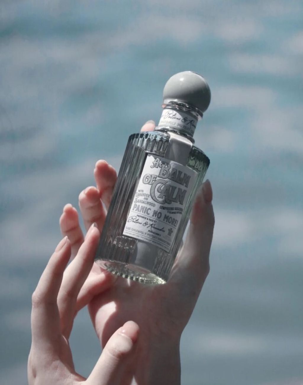 螢幕擷取畫面 2025-08-02 143810