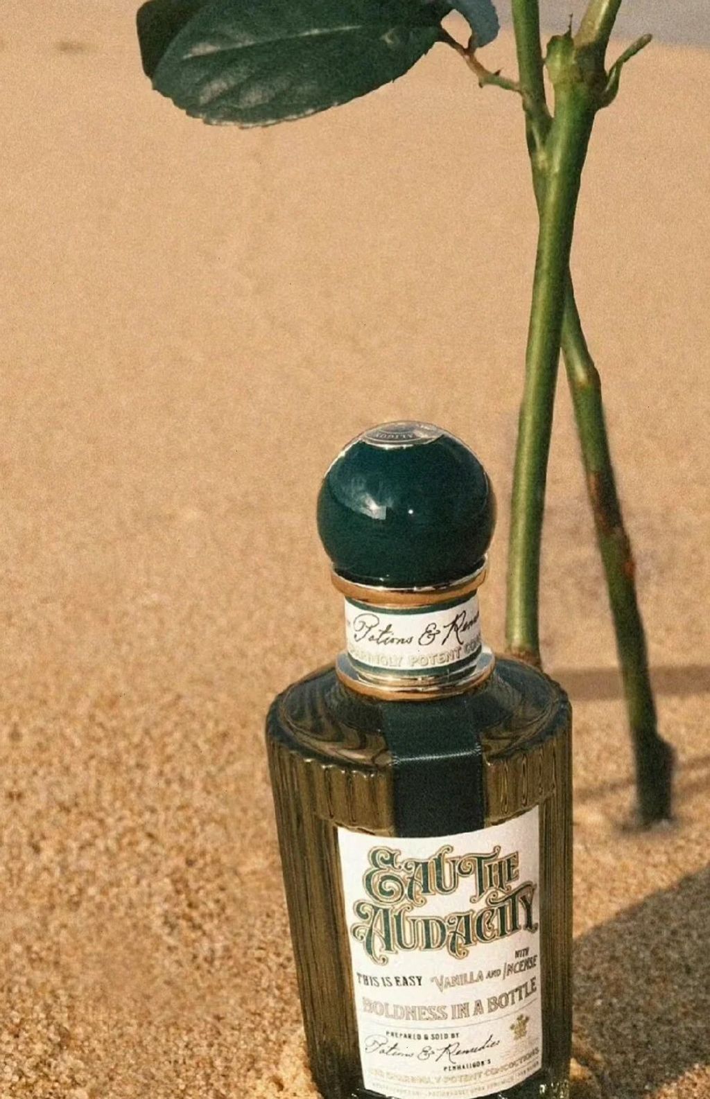 拒绝撞香-闻起来超有态度的香水_1_元子很甜_来自小红书网页版