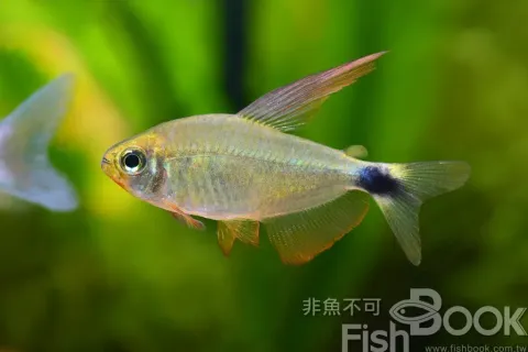 DSC_1151_副本