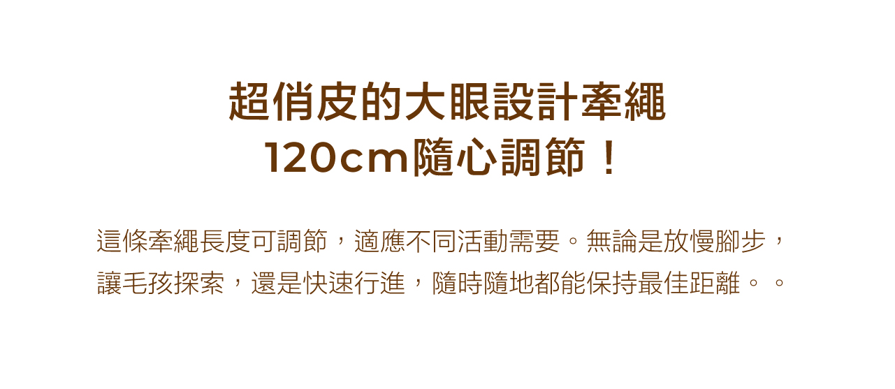harness-尼龍_11-w
