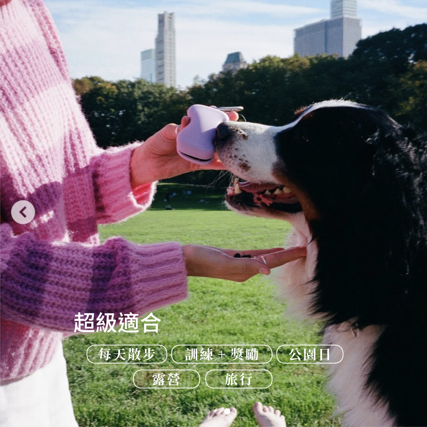 Springer零食收納7