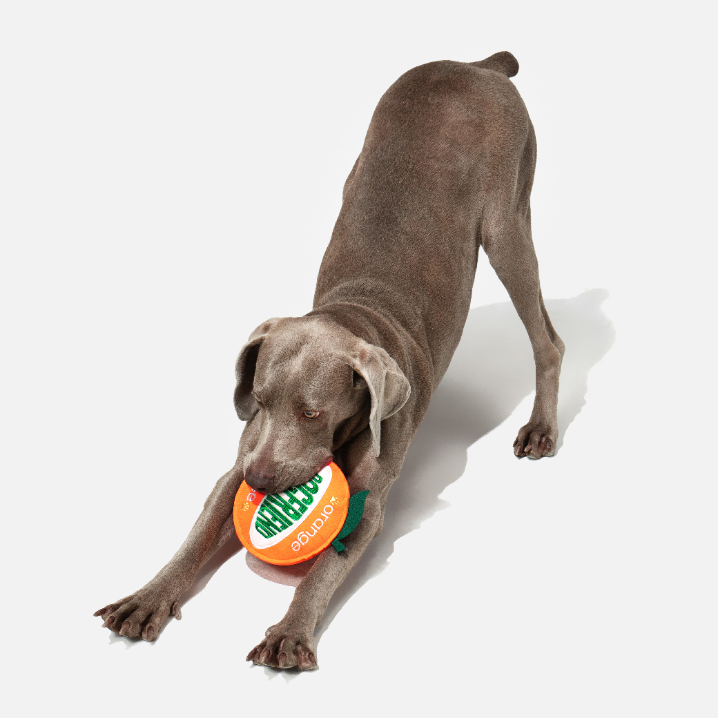 orange-09