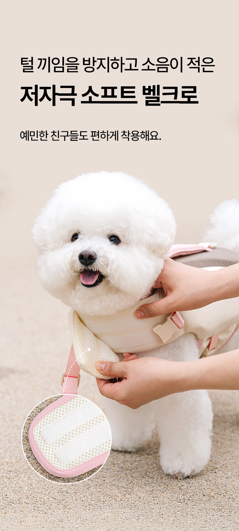 아쿠아베어_라이프_베스트_5