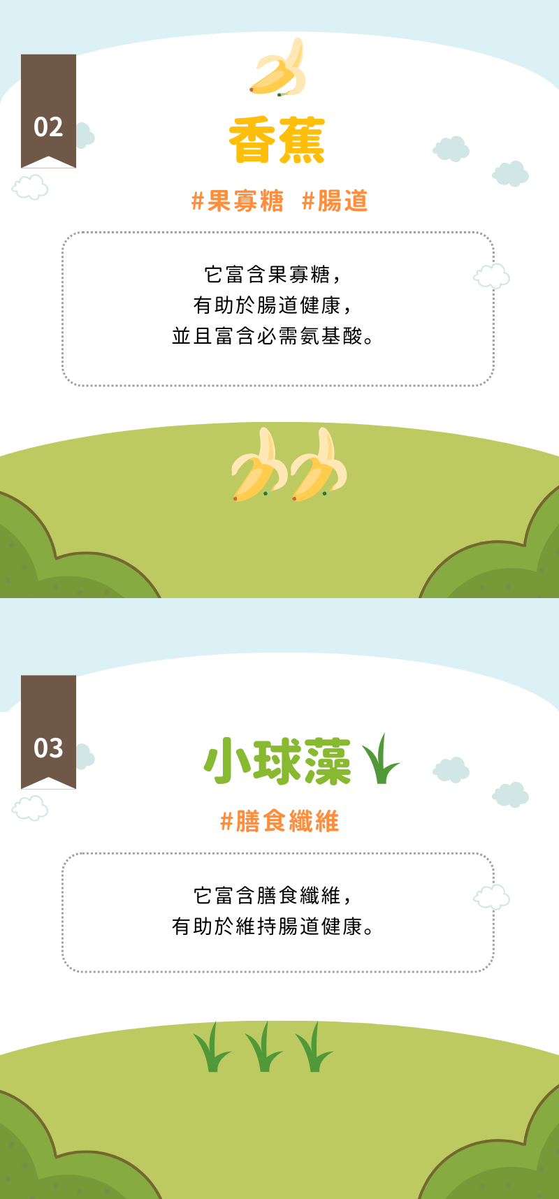 雞肉乳酸菌麵包_003