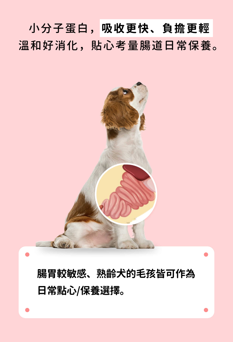 潔牙夾心軟點心_007