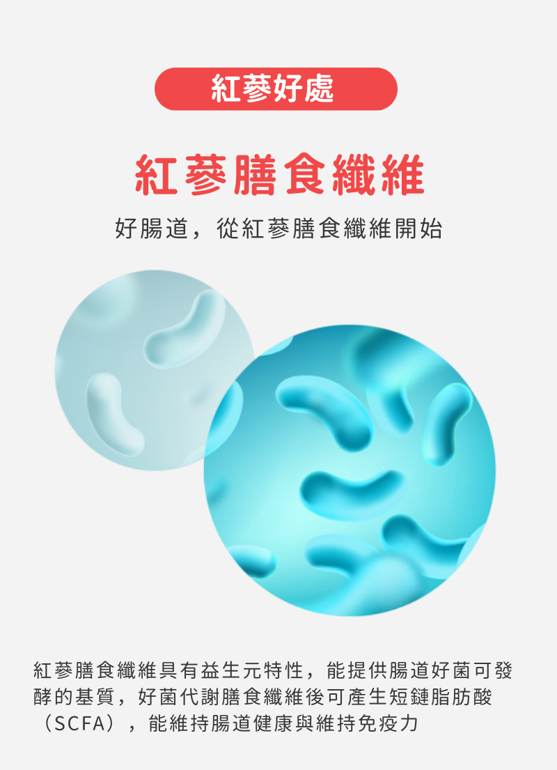 正官庄紅蔘潔牙棒_004