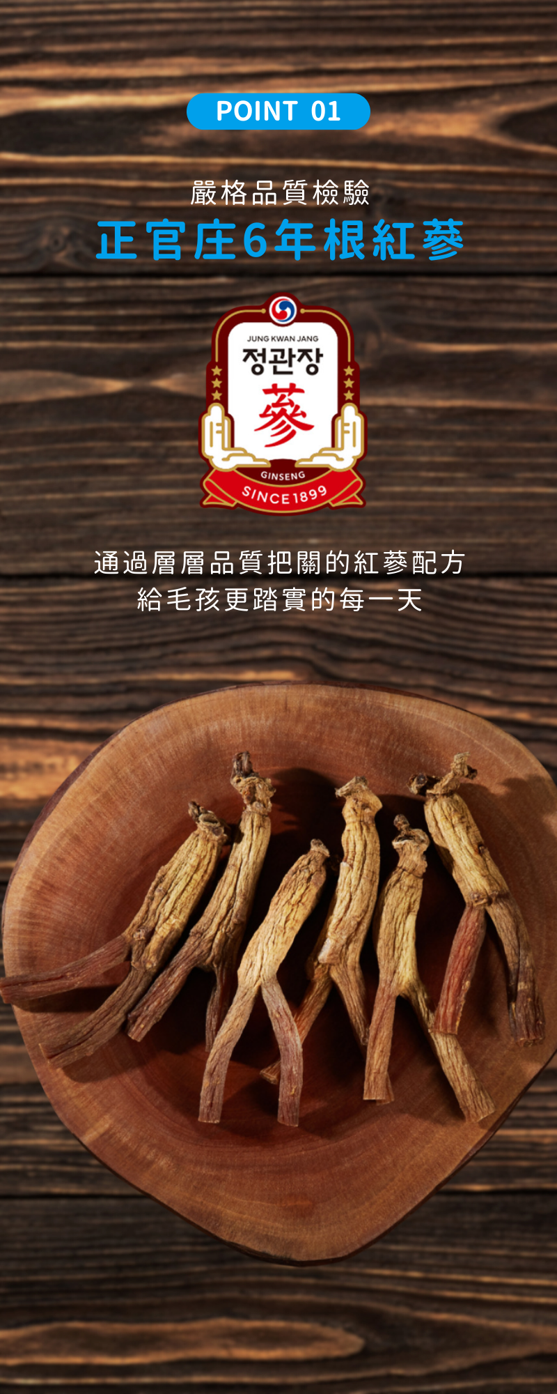 正官庄紅蔘潔牙棒_003