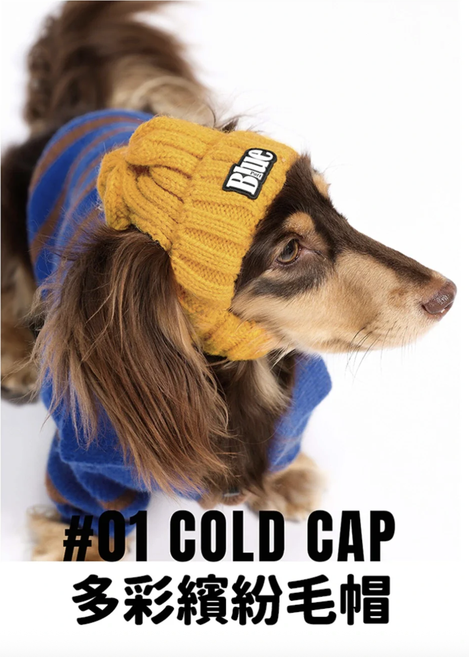 截圖 2025-10-23 上午11.28.42