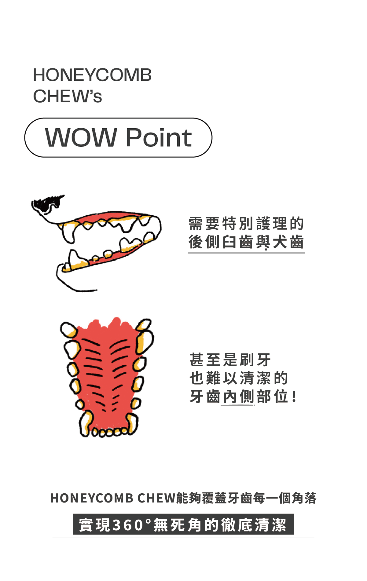 藍莓明太魚(舒緩) 11